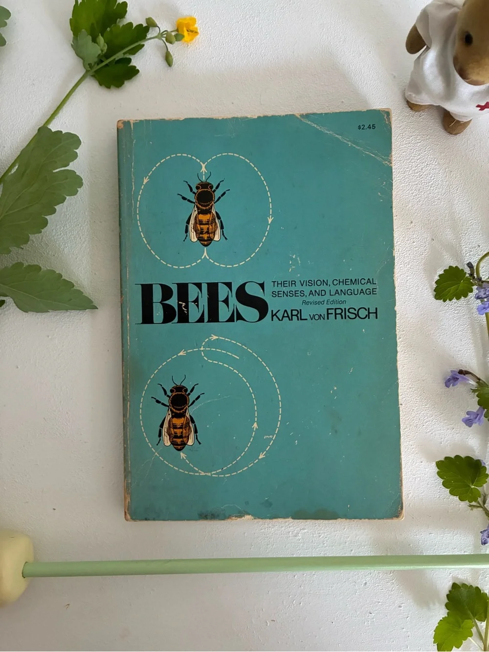 Bees by Karl von Frisch Vintage Paperback - 1971